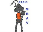 RADIO MRAV
